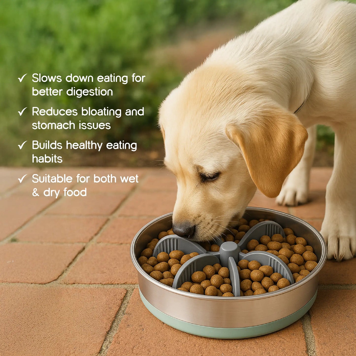 SlowSwirl Feeder | Healthy Eating | Slows Mealtime | Easy to Use