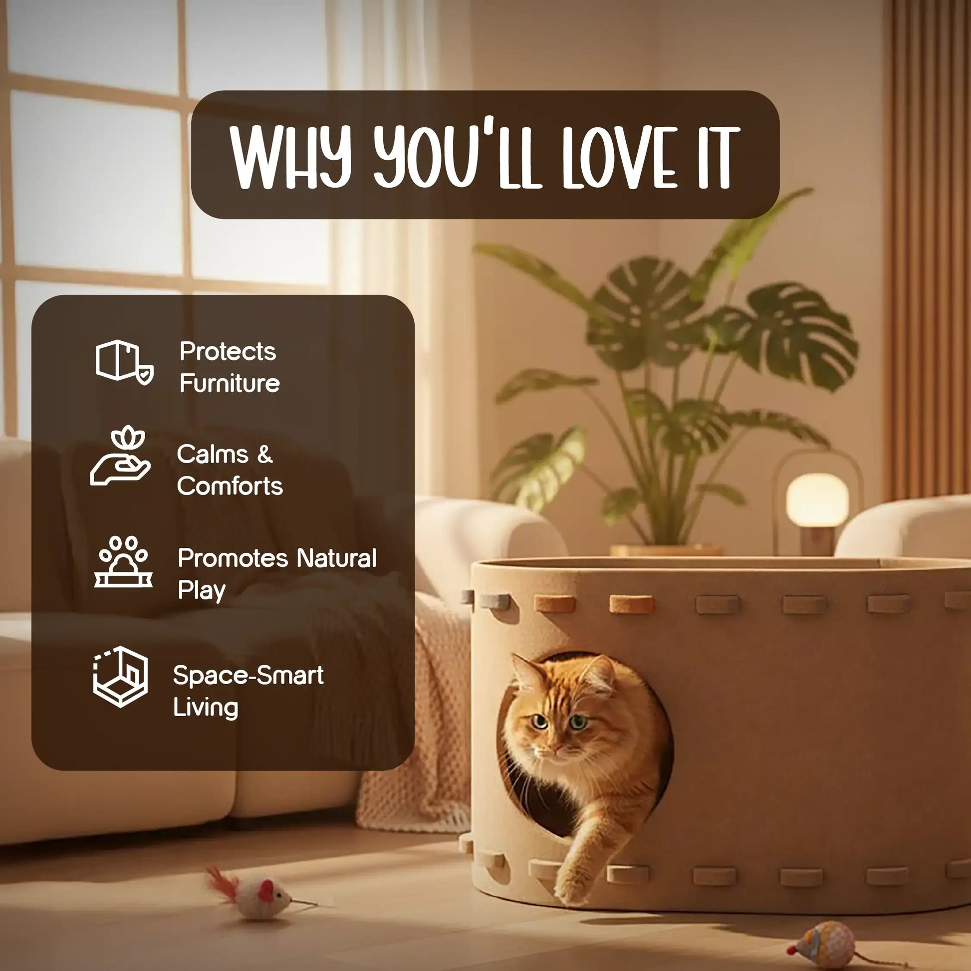 SnoozeScratch – The Cozy Den & Scratch Spot Your Cat Will Love - Tilting Heads