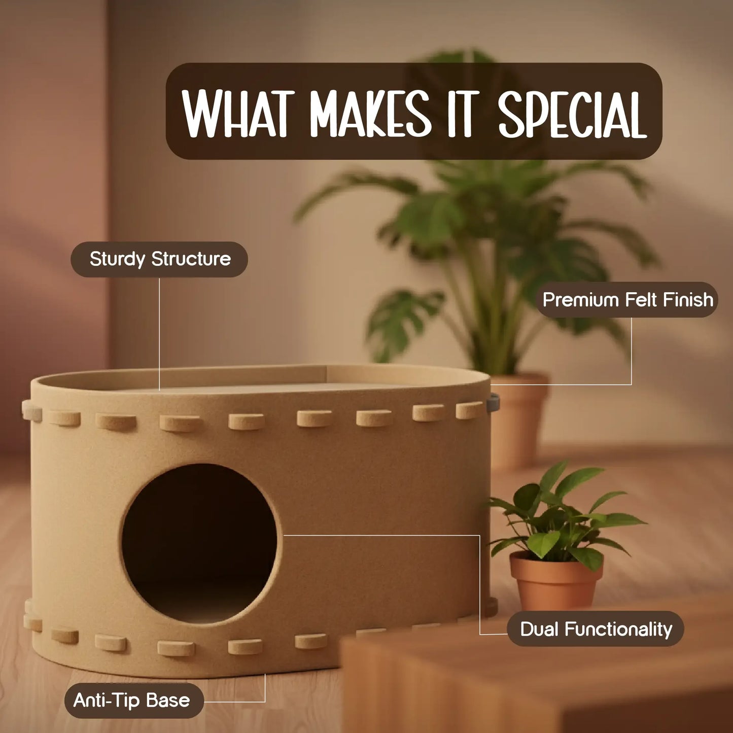 SnoozeScratch – The Cozy Den & Scratch Spot Your Cat Will Love - Tilting Heads