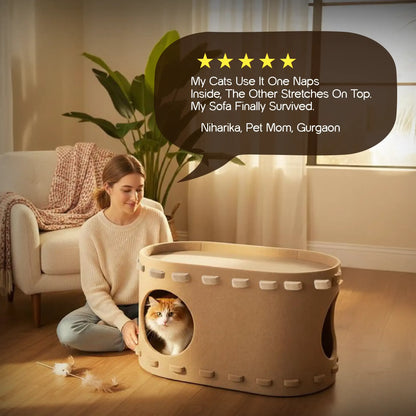 SnoozeScratch – The Cozy Den & Scratch Spot Your Cat Will Love - Tilting Heads