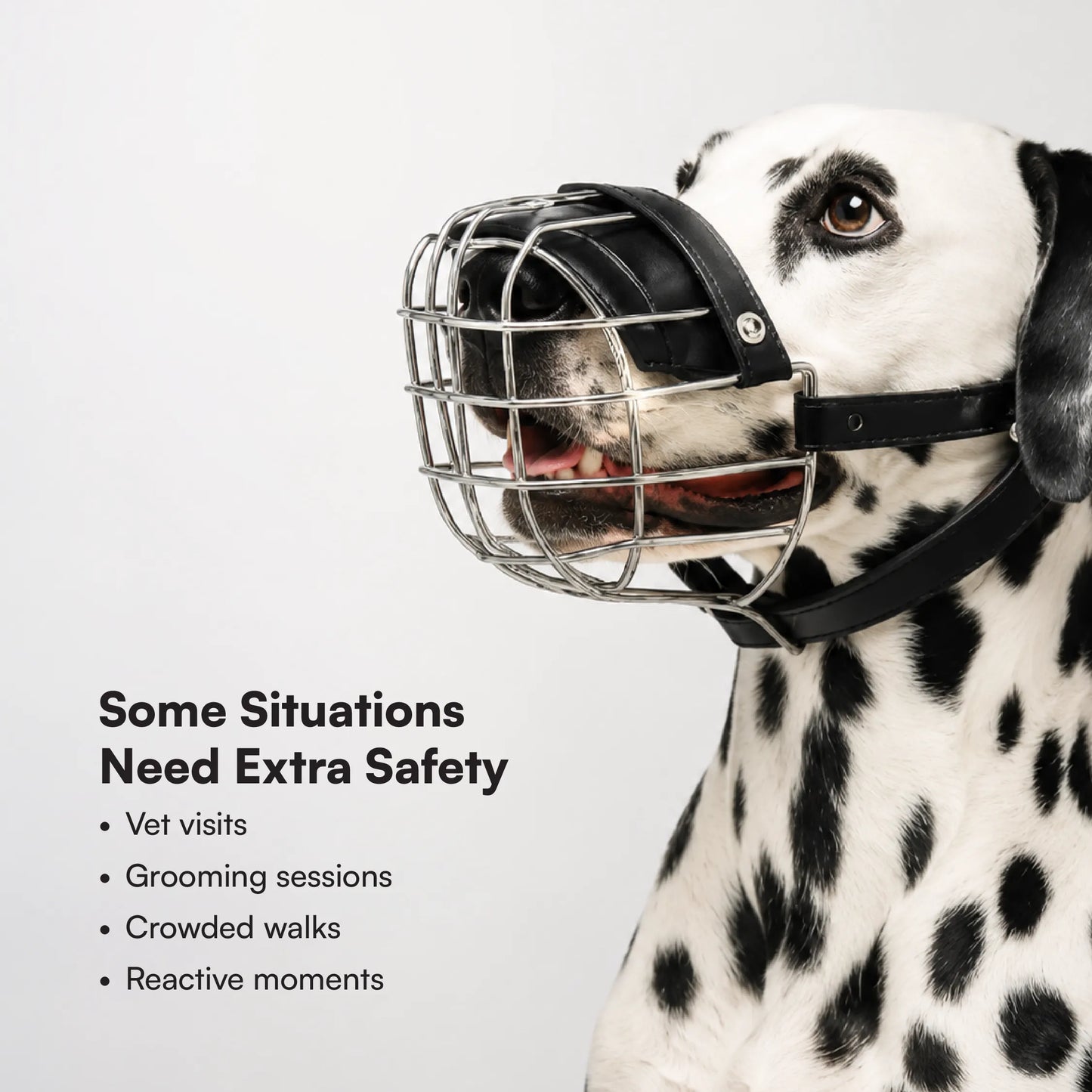 Snout Guard Pro | Comfortable | Adjustable | Durable Muzzle