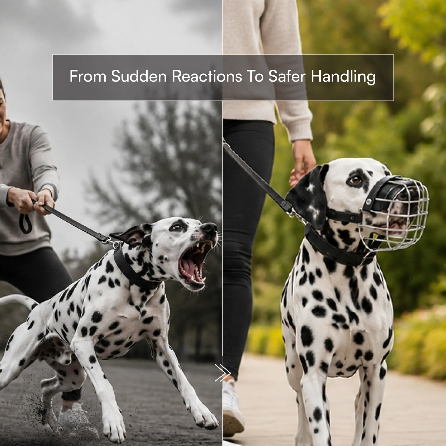 Snout Guard Pro | Comfortable | Adjustable | Durable Muzzle
