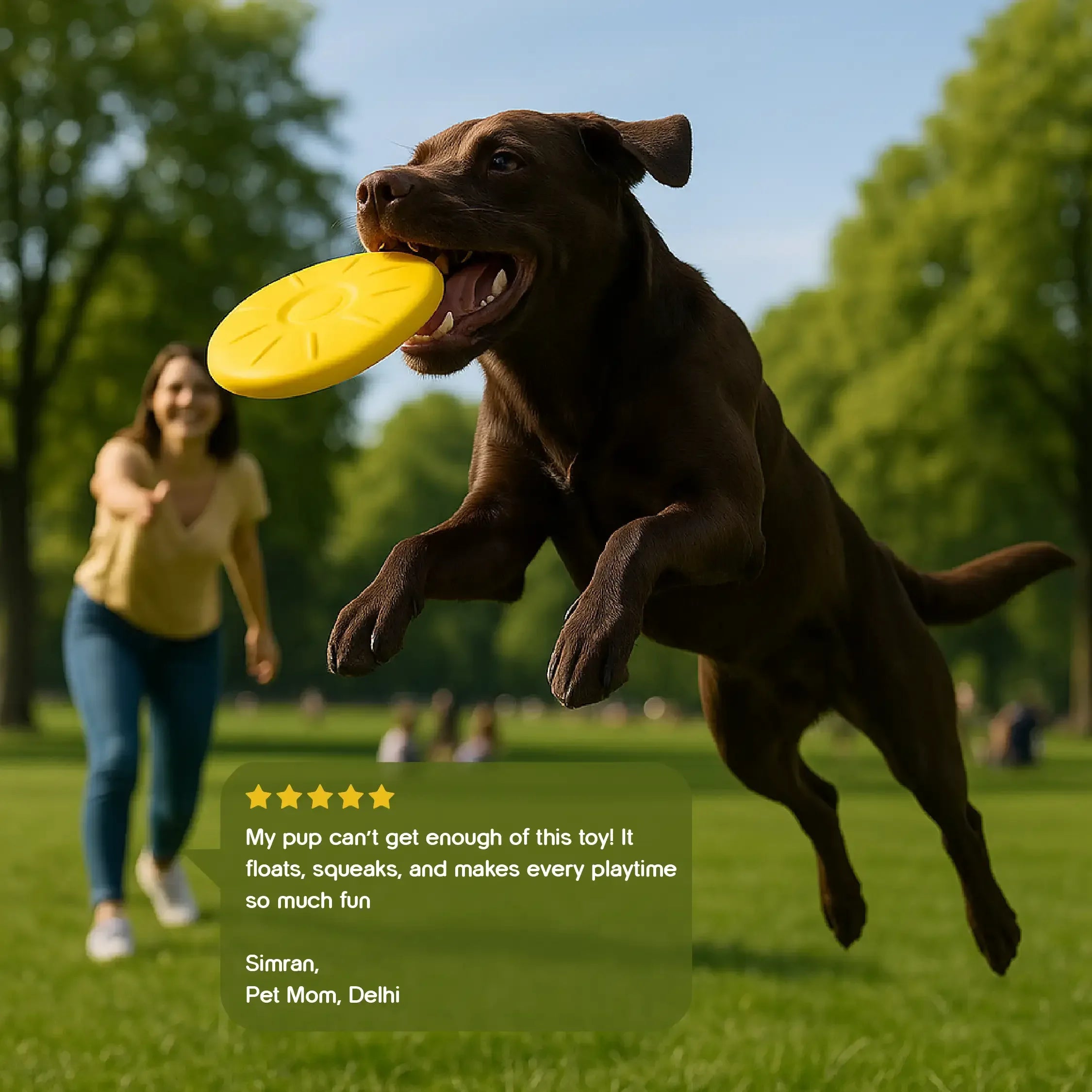 RippleDisc | Floatable Squeaky Toy | Keeps Dogs Entertained - Tilting Heads
