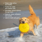 RippleDisc | Floatable Squeaky Toy | Keeps Dogs Entertained - Tilting Heads