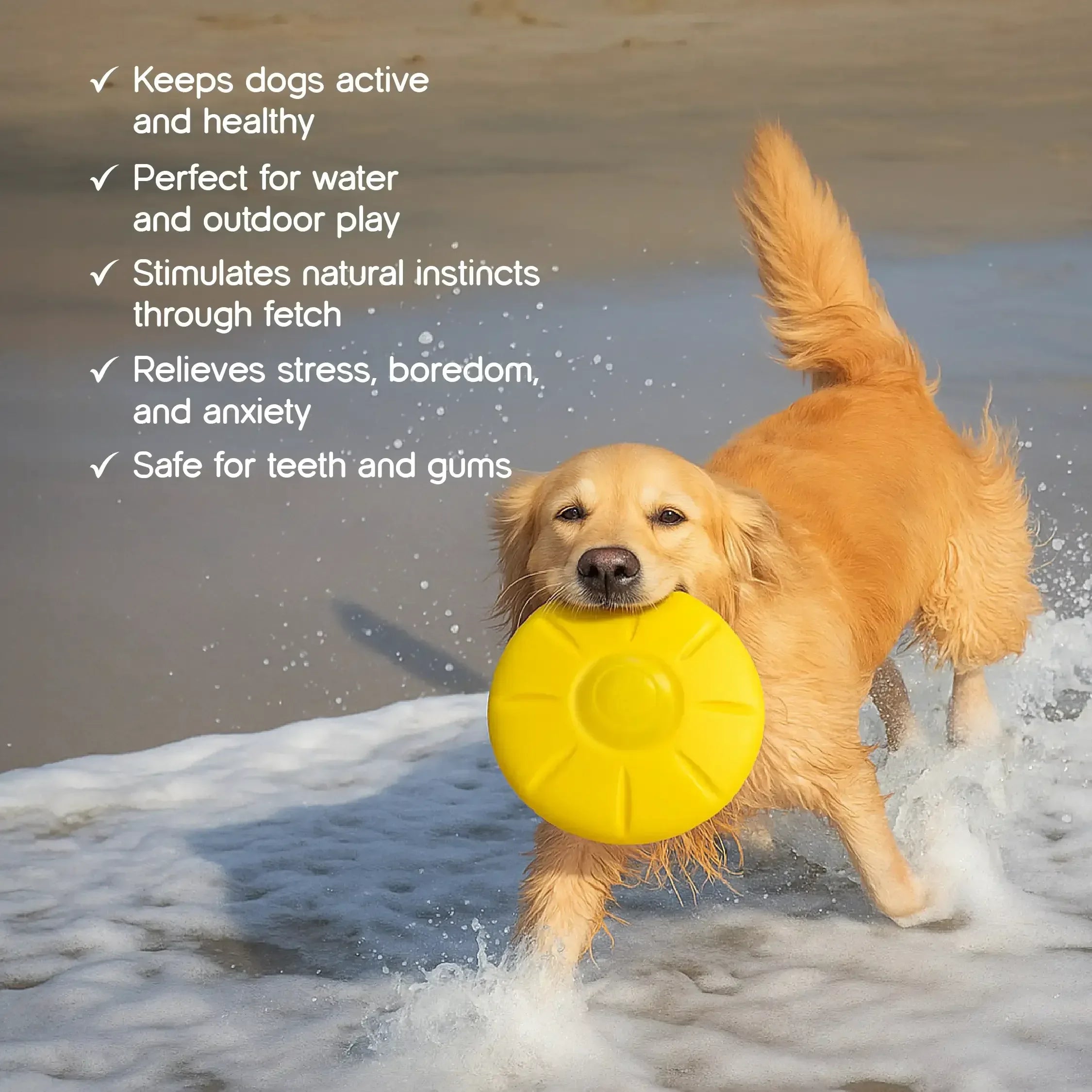 RippleDisc | Floatable Squeaky Toy | Keeps Dogs Entertained - Tilting Heads