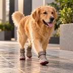 Starlight Boots