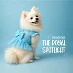 StarryBelle Dress – Sparkling Charm with Easy Wear | Perfect for Parties & Weddings - Tilting Heads