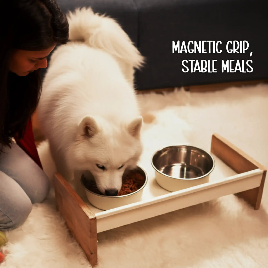 SteadyDiner | Magnetic Bowls | Mess-Free Mealtime for Pets - Tilting Heads