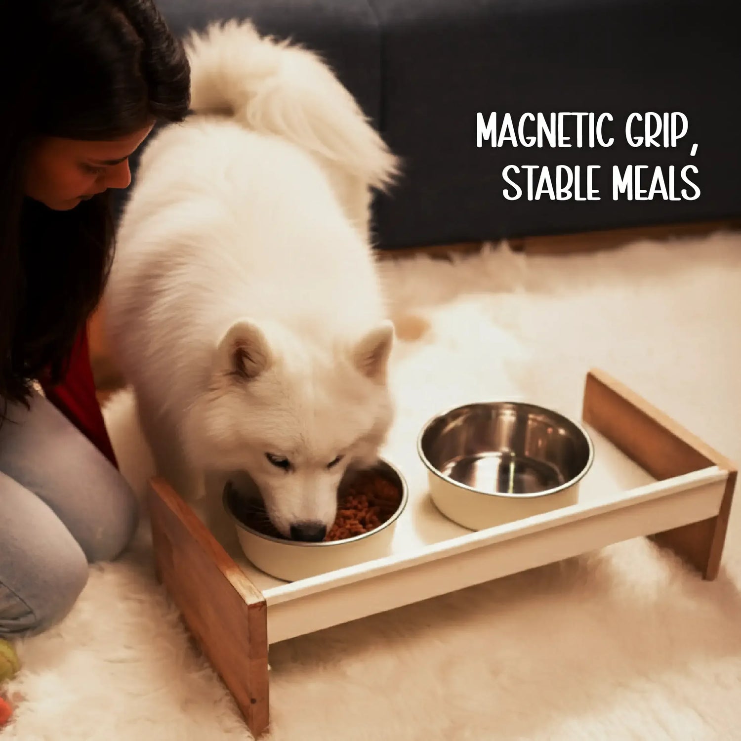 SteadyDiner | Magnetic Bowls | Mess-Free Mealtime for Pets - Tilting Heads