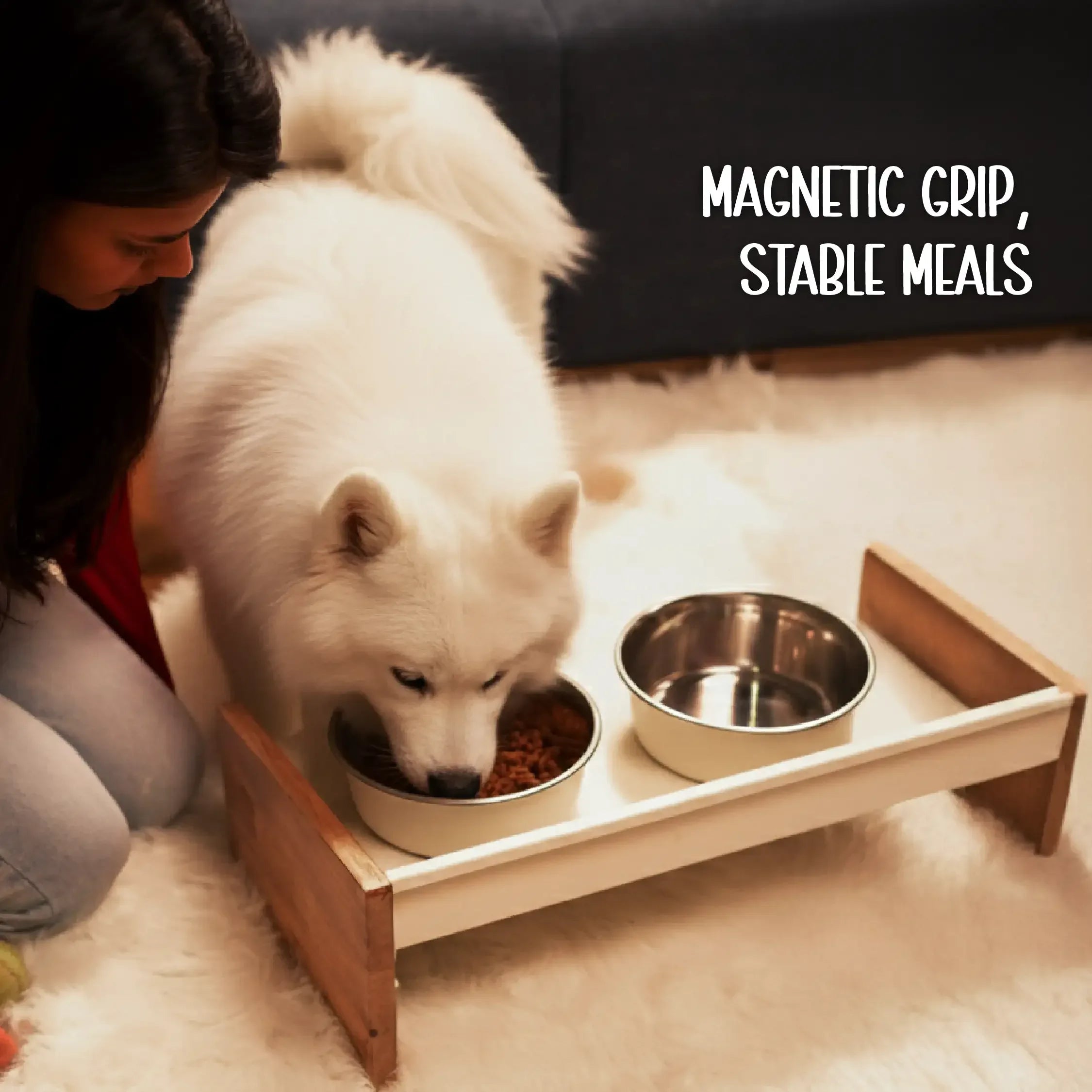 SteadyDiner | Magnetic Bowls | Mess-Free Mealtime for Pets - Tilting Heads