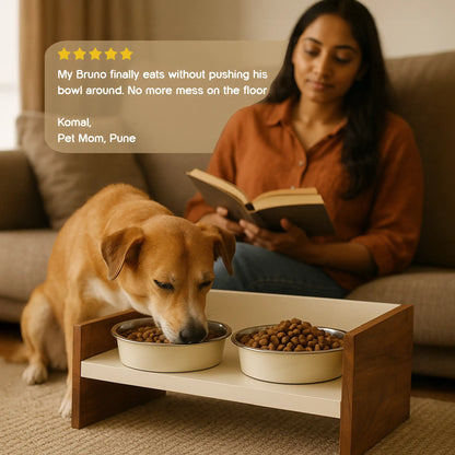 SteadyDiner | Magnetic Bowls | Mess-Free Mealtime for Pets