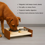 SteadyDiner | Magnetic Bowls | Mess-Free Mealtime for Pets - Tilting Heads
