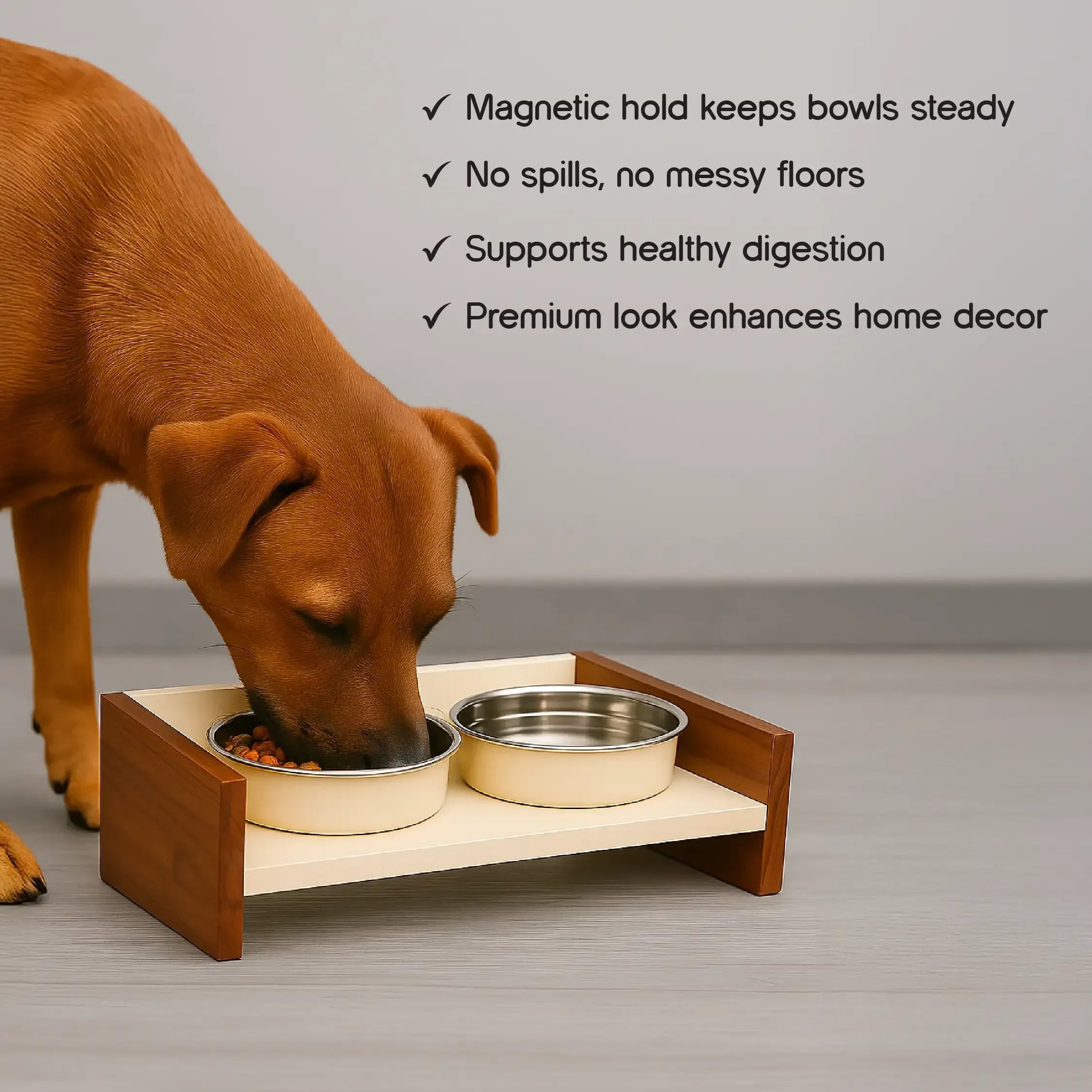SteadyDiner | Magnetic Bowls | Mess-Free Mealtime for Pets - Tilting Heads