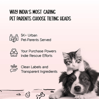 SteadyDiner | Magnetic Bowls | Mess-Free Mealtime for Pets