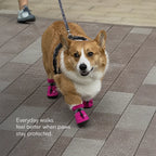 StepGuard Pet Boots – Soft Fit, Steady Grip & Daily Paw Protection