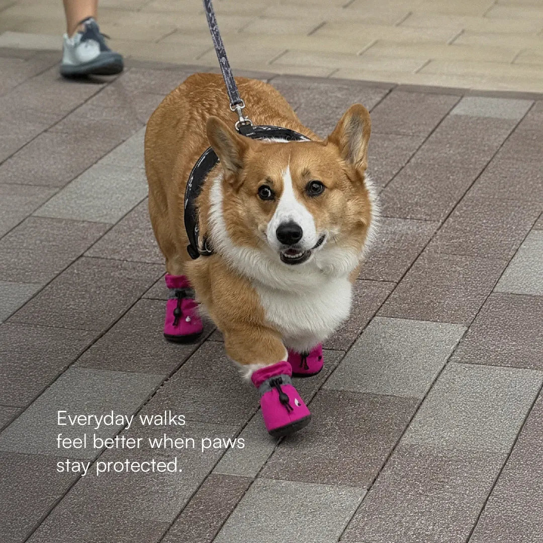 StepGuard Pet Boots – Soft Fit, Steady Grip & Daily Paw Protection