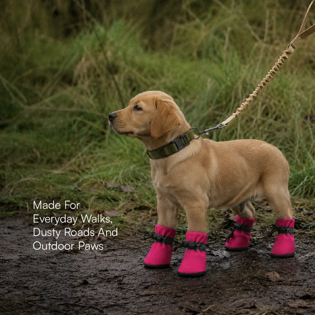 StepGuard Pet Boots – Soft Fit, Steady Grip & Daily Paw Protection