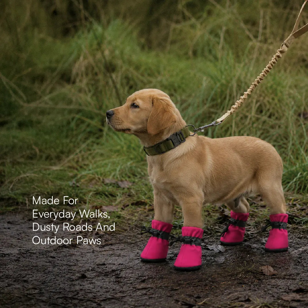 StepGuard Pet Boots – Soft Fit, Steady Grip & Daily Paw Protection