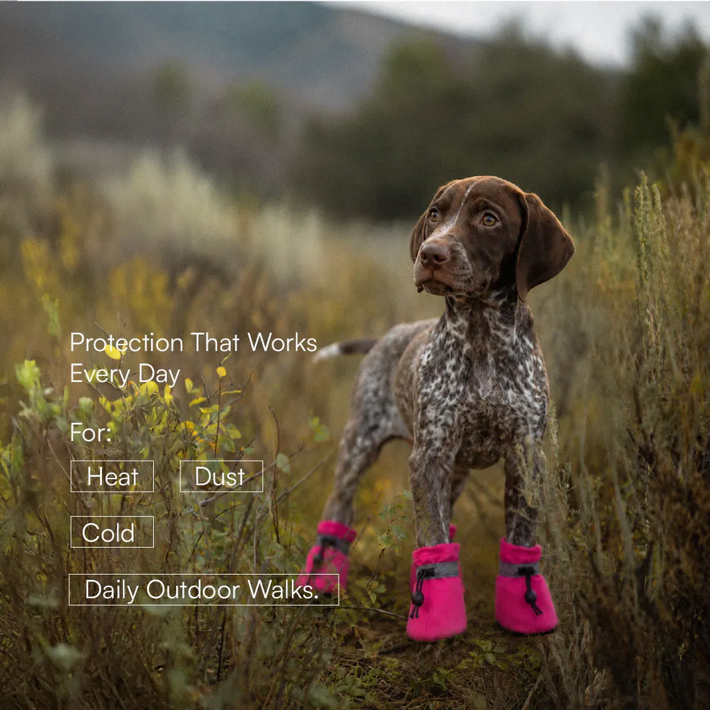 StepGuard Pet Boots – Soft Fit, Steady Grip & Daily Paw Protection