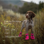 StepGuard Pet Boots – Soft Fit, Steady Grip & Daily Paw Protection