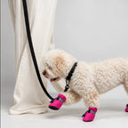 StepGuard Boots