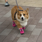 StepGuard Boots