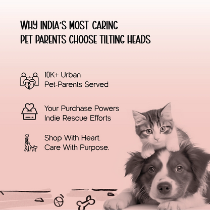 The Calm Sanctuary Kit – Holi Comfort & Care for Dogs & Cats
