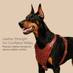 Stormborn Harness – Premium Leather Harness for Strong Dogs