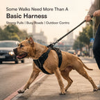 Stormborn Harness – Premium Leather Harness for Strong Dogs