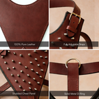 Stormborn Harness – Premium Leather Harness for Strong Dogs