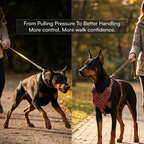 Stormborn Harness – Premium Leather Harness for Strong Dogs