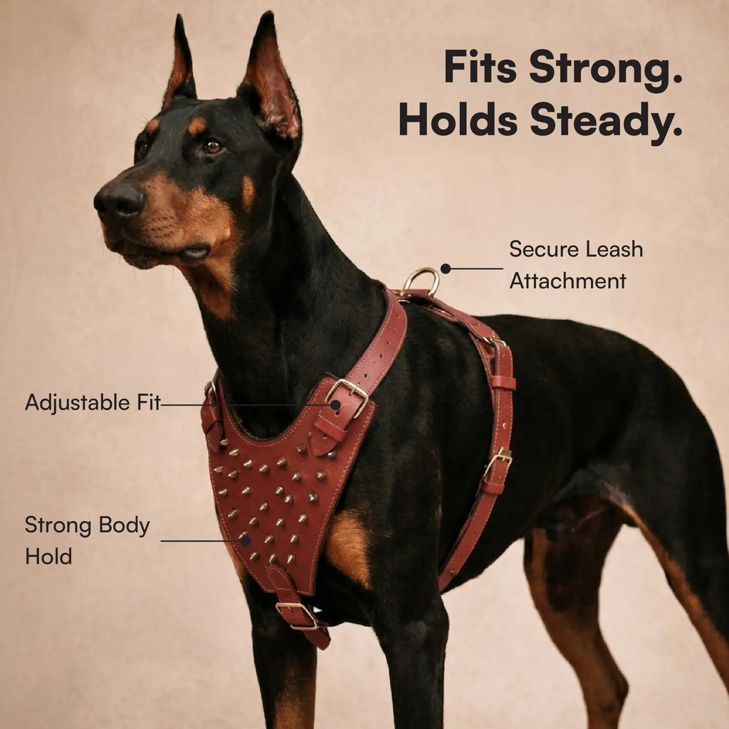Stormborn Harness – Premium Leather Harness for Strong Dogs