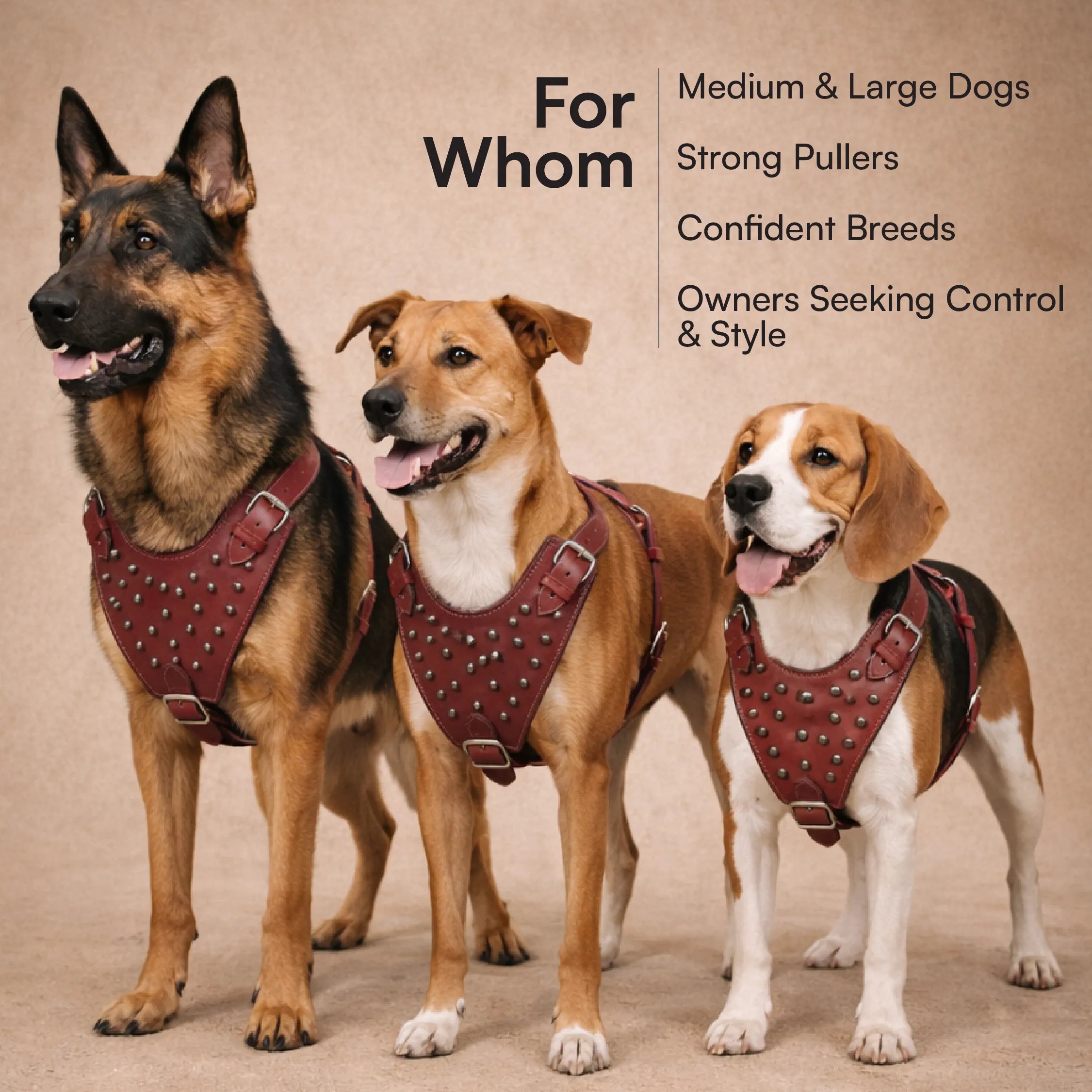 Stormborn Harness – Premium Leather Harness for Strong Dogs