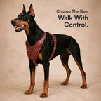 Stormborn Harness – Premium Leather Harness for Strong Dogs