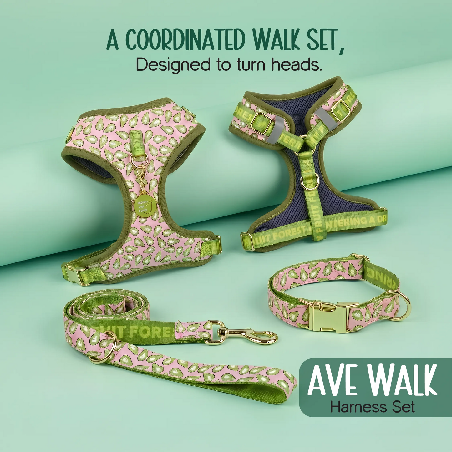 Ave Walk Harness Set | All-Day Comfort Walk Set with Leash & Collar