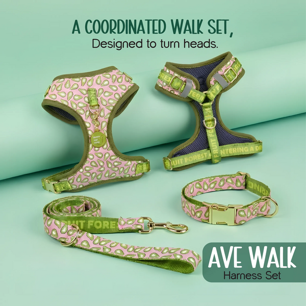 Ave Walk Harness Set | All-Day Comfort Walk Set with Leash & Collar