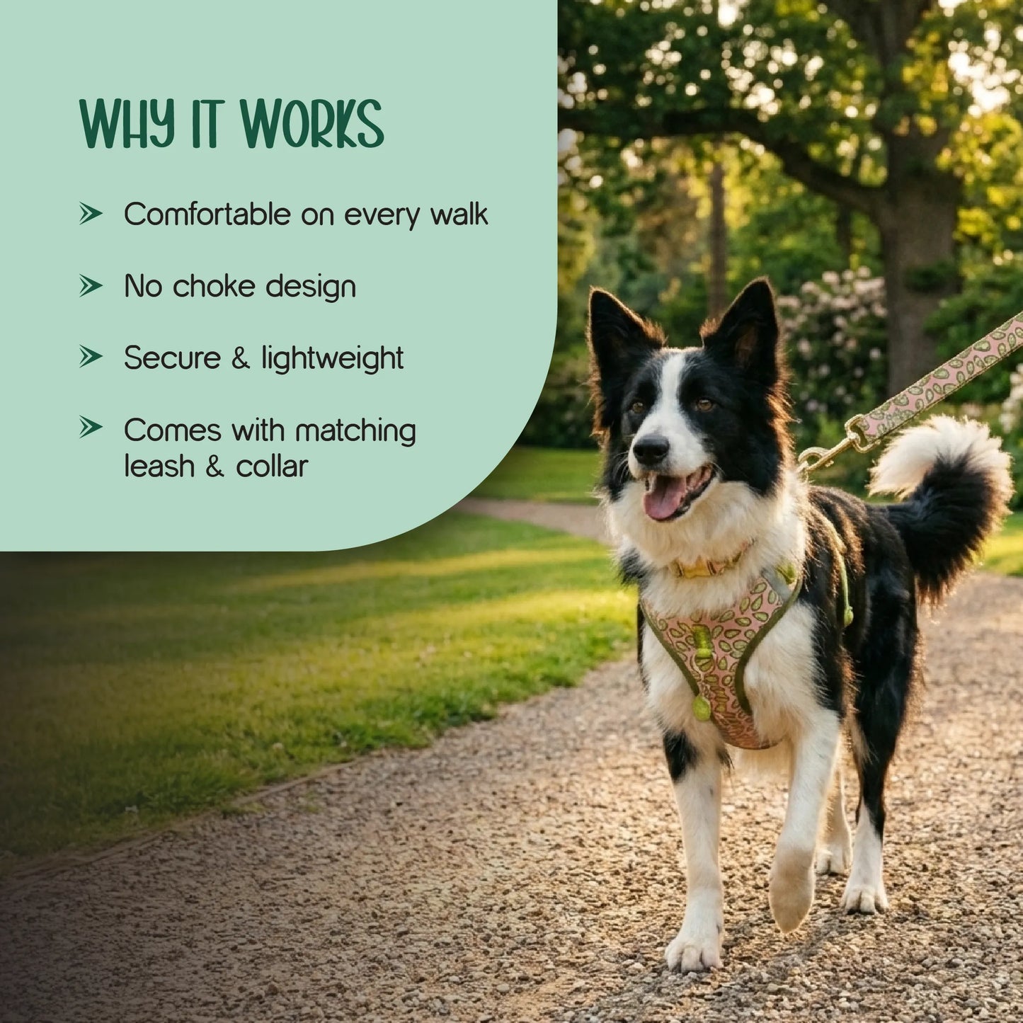 Ave Walk Harness Set | All-Day Comfort Walk Set with Leash & Collar