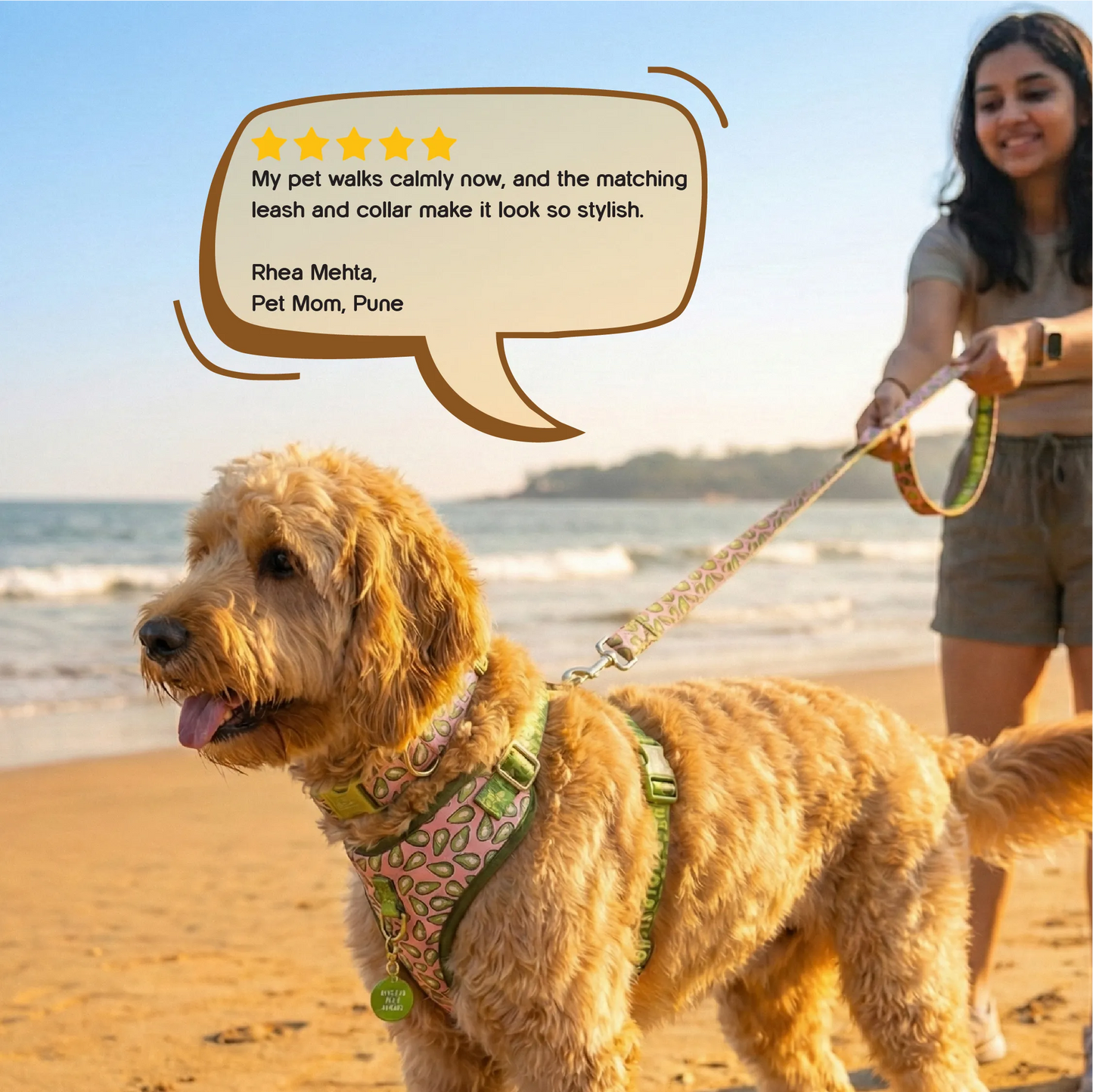 Ave Walk Harness Set | All-Day Comfort Walk Set with Leash & Collar