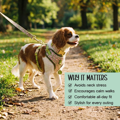 Ave Walk Harness Set | All-Day Comfort Walk Set with Leash & Collar