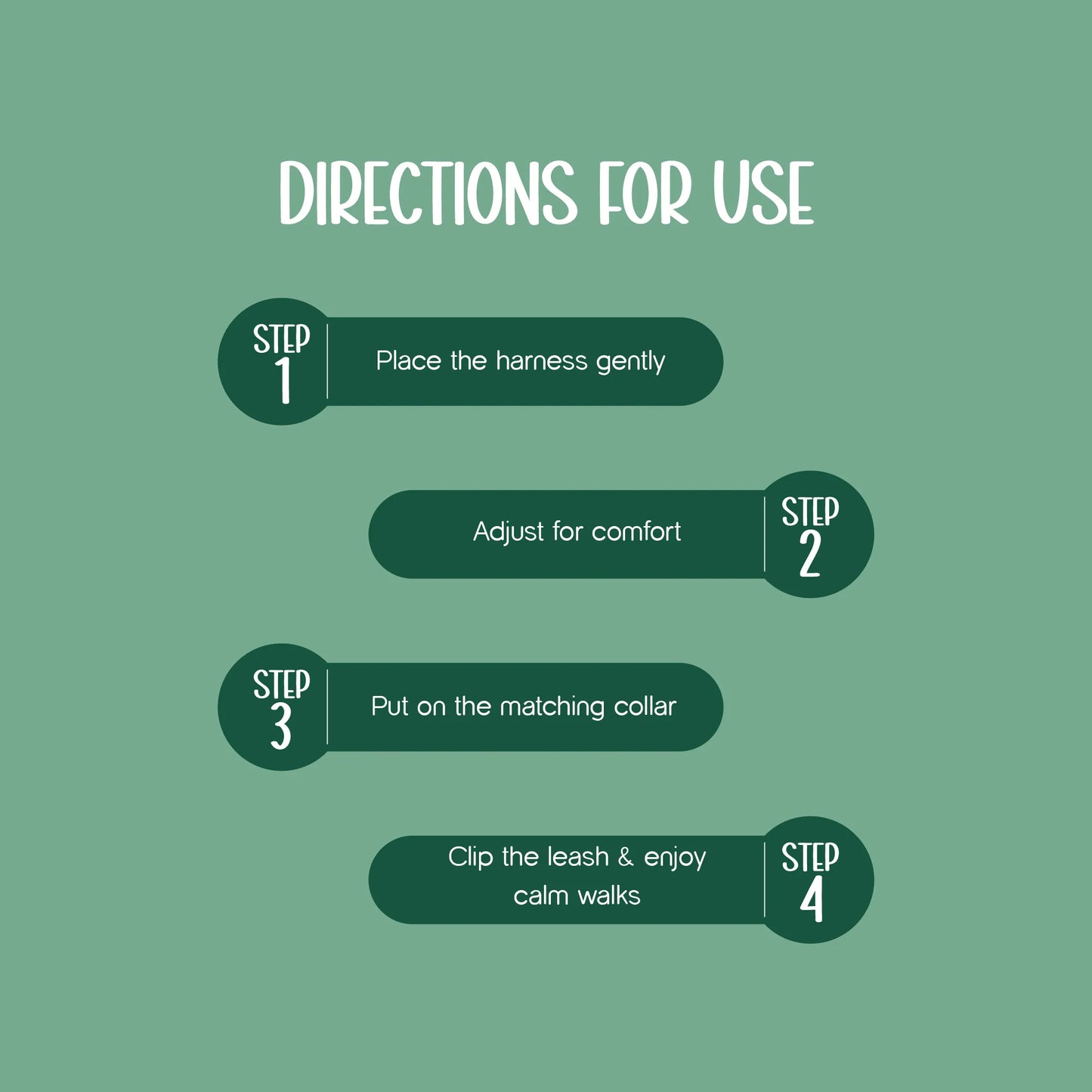 Ave Walk Harness Set | All-Day Comfort Walk Set with Leash & Collar