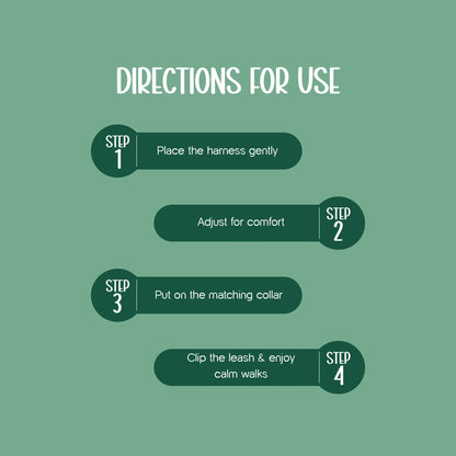 Ave Walk Harness Set | All-Day Comfort Walk Set with Leash & Collar