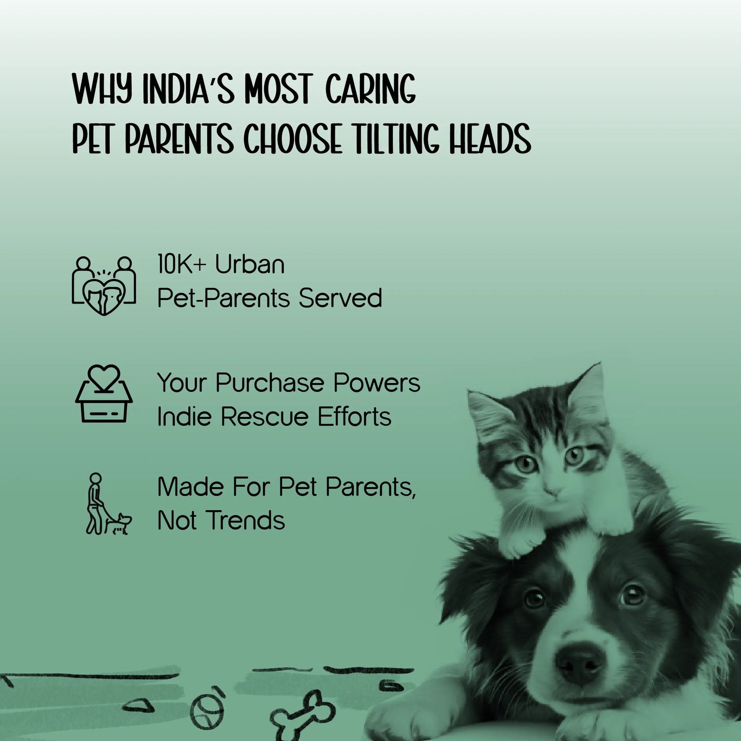 Ave Walk Harness Set | All-Day Comfort Walk Set with Leash & Collar