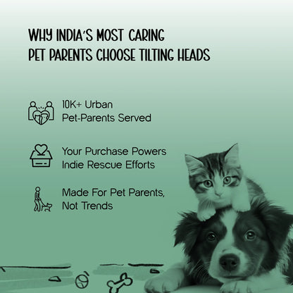 Ave Walk Harness Set | All-Day Comfort Walk Set with Leash & Collar