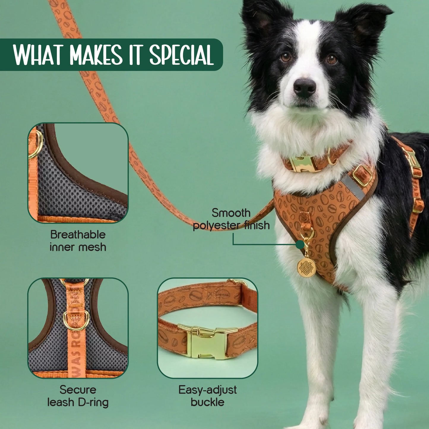 Ave Walk Harness Set | All-Day Comfort Walk Set with Leash & Collar