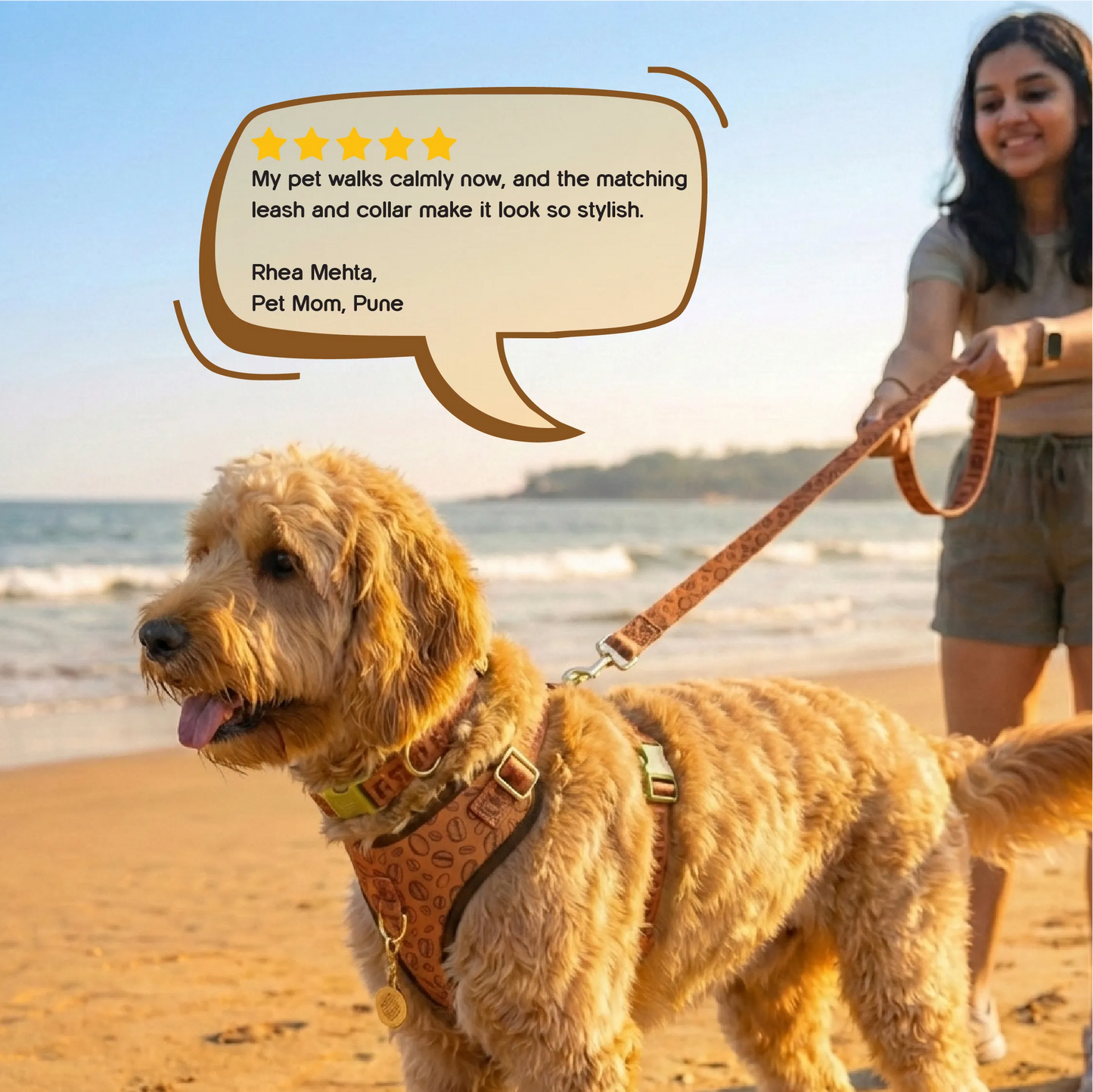 Ave Walk Harness Set | All-Day Comfort Walk Set with Leash & Collar