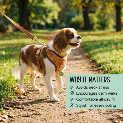 Ave Walk Harness Set | All-Day Comfort Walk Set with Leash & Collar