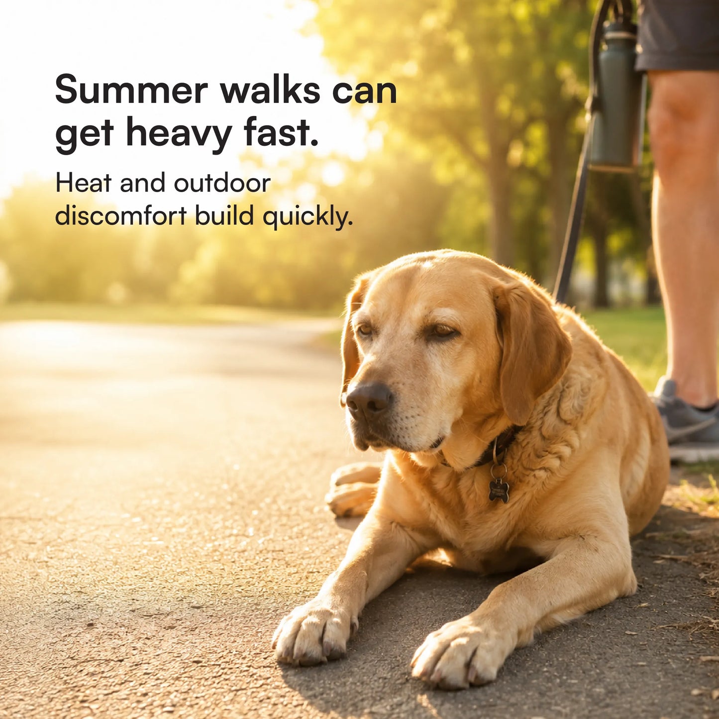 SummerGuard Cooling Vest: Cool Comfort for Hot Days