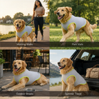 SummerGuard Cooling Vest: Cool Comfort for Hot Days