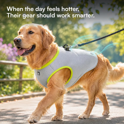 SummerGuard Cooling Vest: Cool Comfort for Hot Days