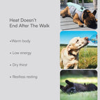 Summer Recovery Kit | Cooling Care For Hot Days